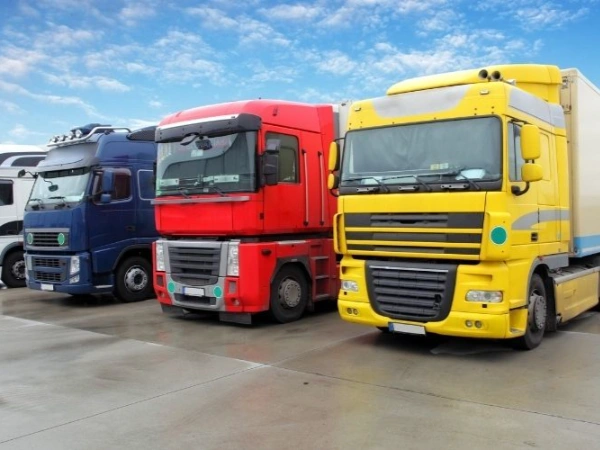 Bursa Dernekpazarı Nakliye